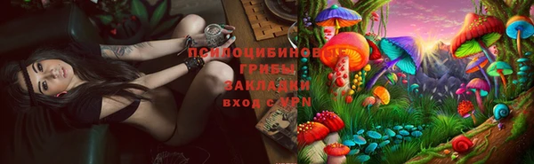 а пвп мука Магас