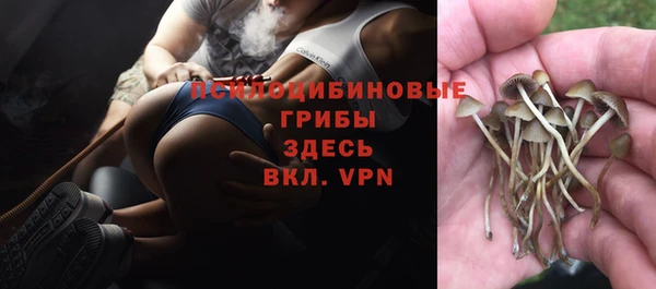 а пвп мука Магас