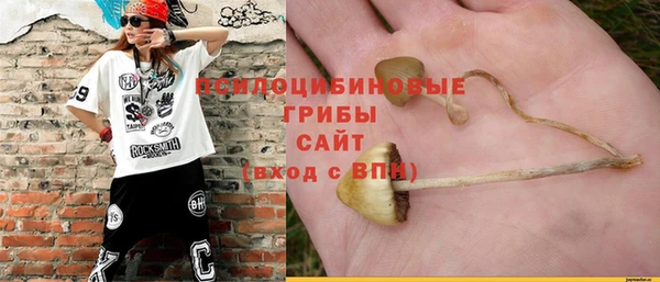 кокс Майский