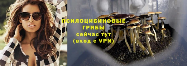 а пвп мука Магас