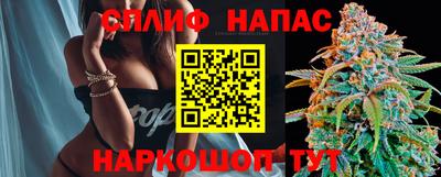 СК Кимры