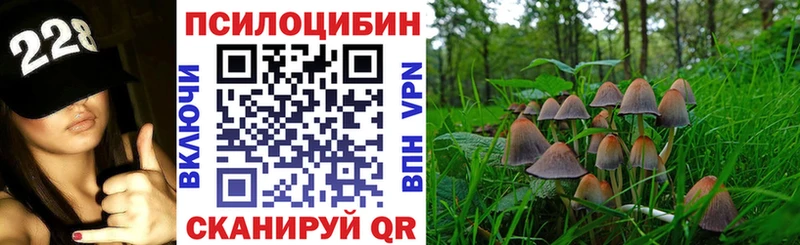 Галлюциногенные грибы Psilocybe  kraken зеркало  Тула  как найти закладки 