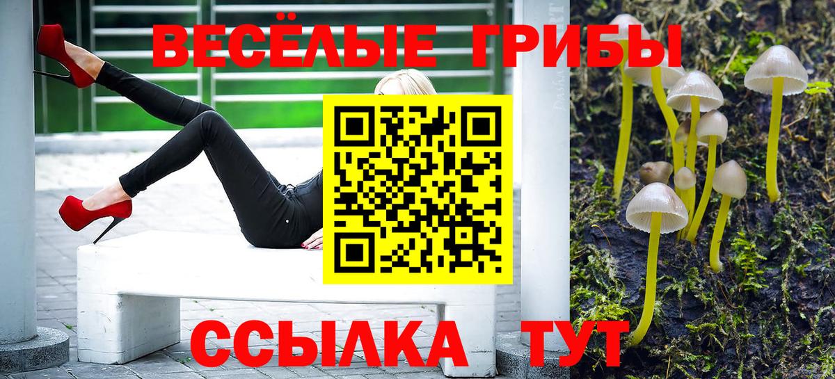 Псилоцибиновые грибы Cubensis Тула
